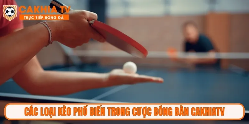 Các loại kèo phổ biến trong cược bóng bàn CakhiaTV