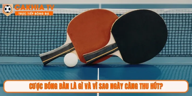 Cược bóng bàn là gì và vì sao ngày càng thu hút?
