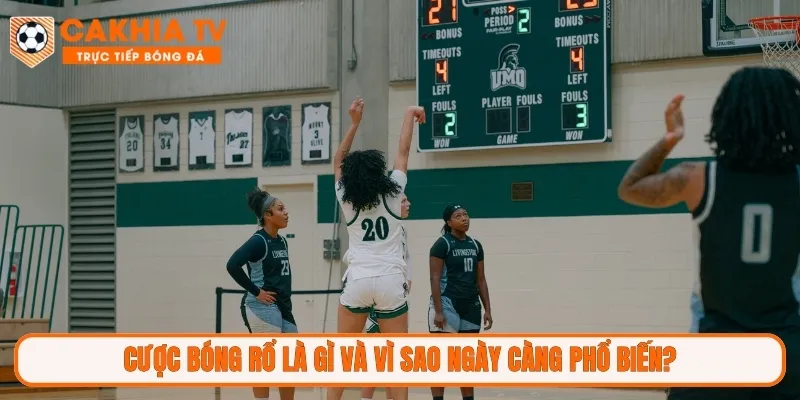 Cược bóng rổ là gì và vì sao ngày càng phổ biến?