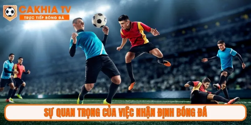 Sự quan trọng của việc nhận định bóng đá